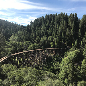 Lincoln National Forest