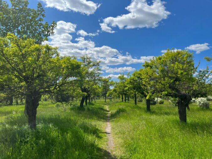 Sun Safety: Protecting Your Skin on the Trail